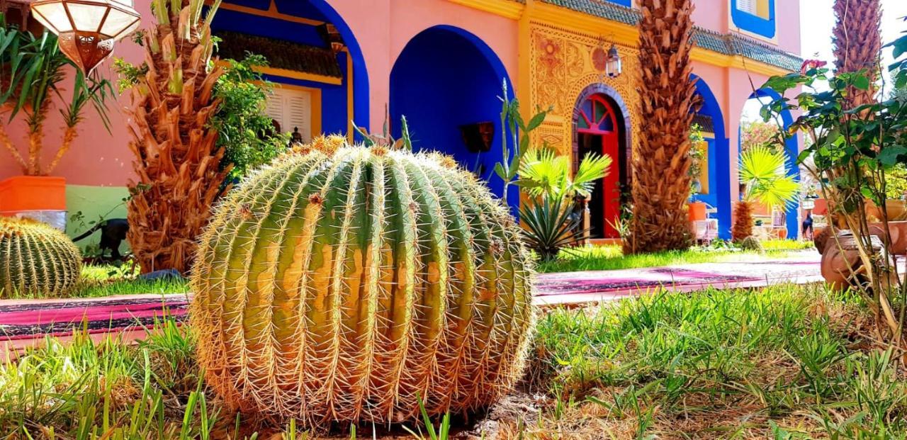 Riad Jasmine Sud Zagora Exterior foto